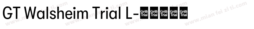 GT Walsheim Trial L字体转换